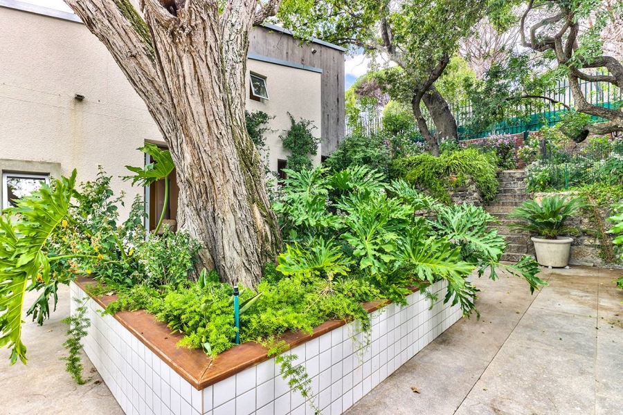 To Let 5 Bedroom Property for Rent in Higgovale Western Cape